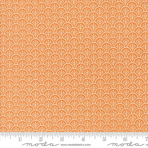 Image of the Agatha Road Scallops Pumpkins quilting cotton fabric by Moda Fabrics. Features scallops on an orange background. Cute Little Fabric Shop