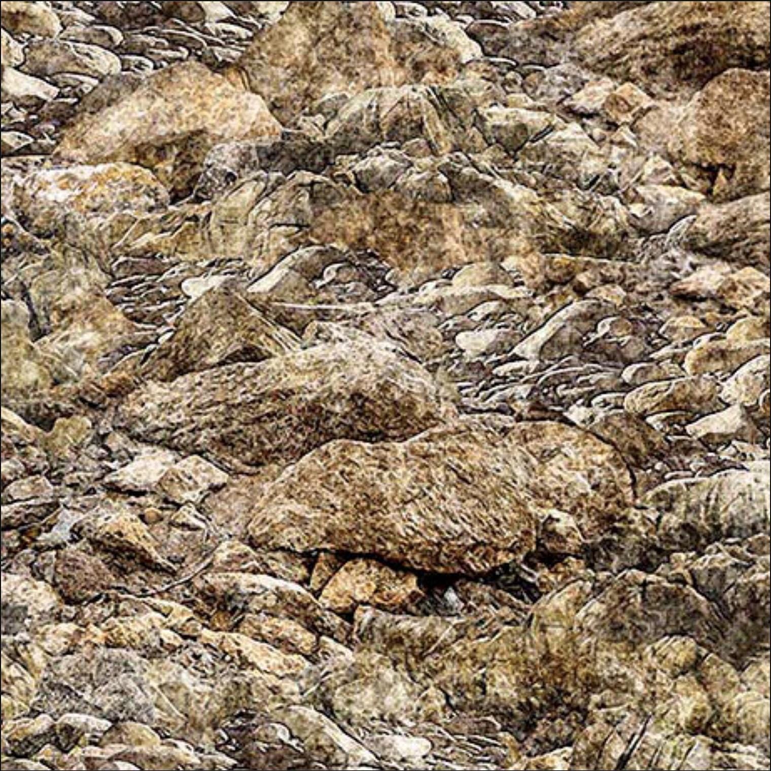 Image of the Earthly Delights Rocky Landscape Brown quilting cotton fabric by Dan Morris for QT Fabrics. Features rocks on a brown background. Cute Little Fabric Shop