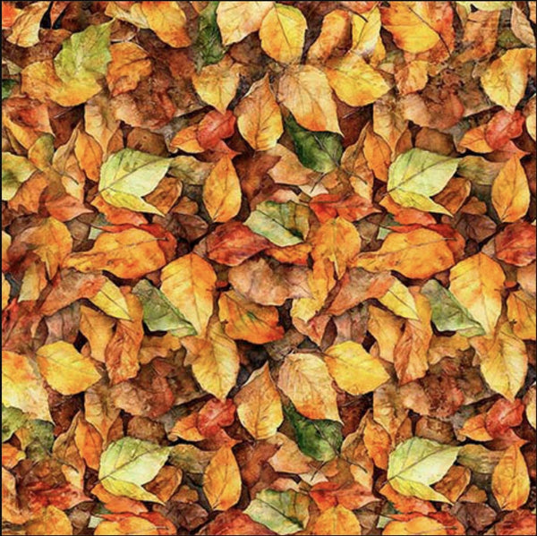 Image of the Earthly Delights Leaves Orange quilting cotton fabric by Dan Morris for QT Fabrics. Features leaves on an orange background. Cute Little Fabric Shop