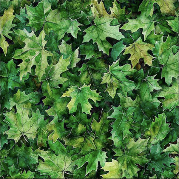 Image of the Earthly Delights Maple Leaves Green quilting cotton fabric by Dan Morris for QT Fabrics. Features leaves on a green background. Cute Little Fabric Shop