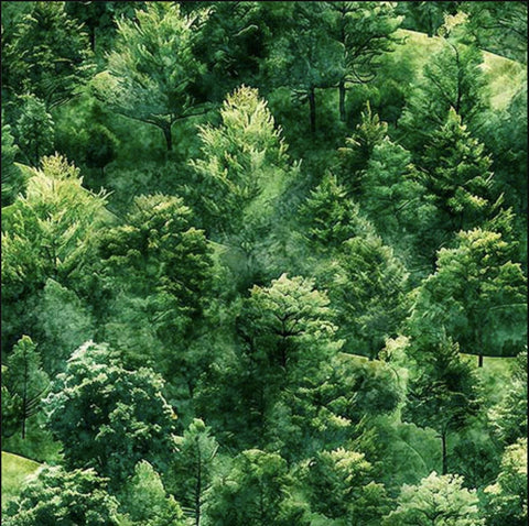 Image of the Earthly Delights Forest Hills Green quilting cotton fabric by Dan Morris for QT Fabrics. Features trees on a green background. Cute Little Fabric Shop
