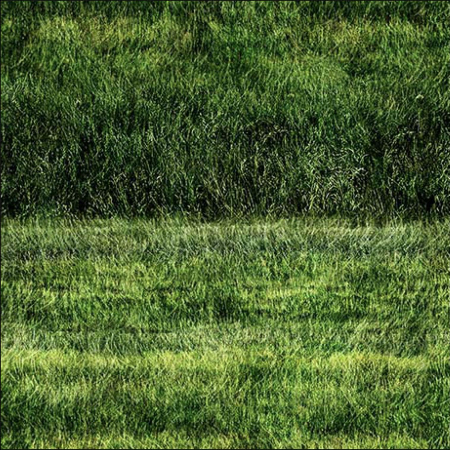 Image of the Earthly Delights Grassy Fields Green quilting cotton fabric by Dan Morris for QT Fabrics. Features grass on a green background. Cute Little Fabric Shop