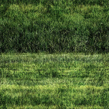 Image of the Earthly Delights Grassy Fields Green quilting cotton fabric by Dan Morris for QT Fabrics. Features grass on a green background. Cute Little Fabric Shop