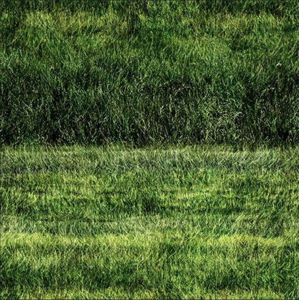 Image of the Earthly Delights Grassy Fields Green quilting cotton fabric by Dan Morris for QT Fabrics. Features grass on a green background. Cute Little Fabric Shop