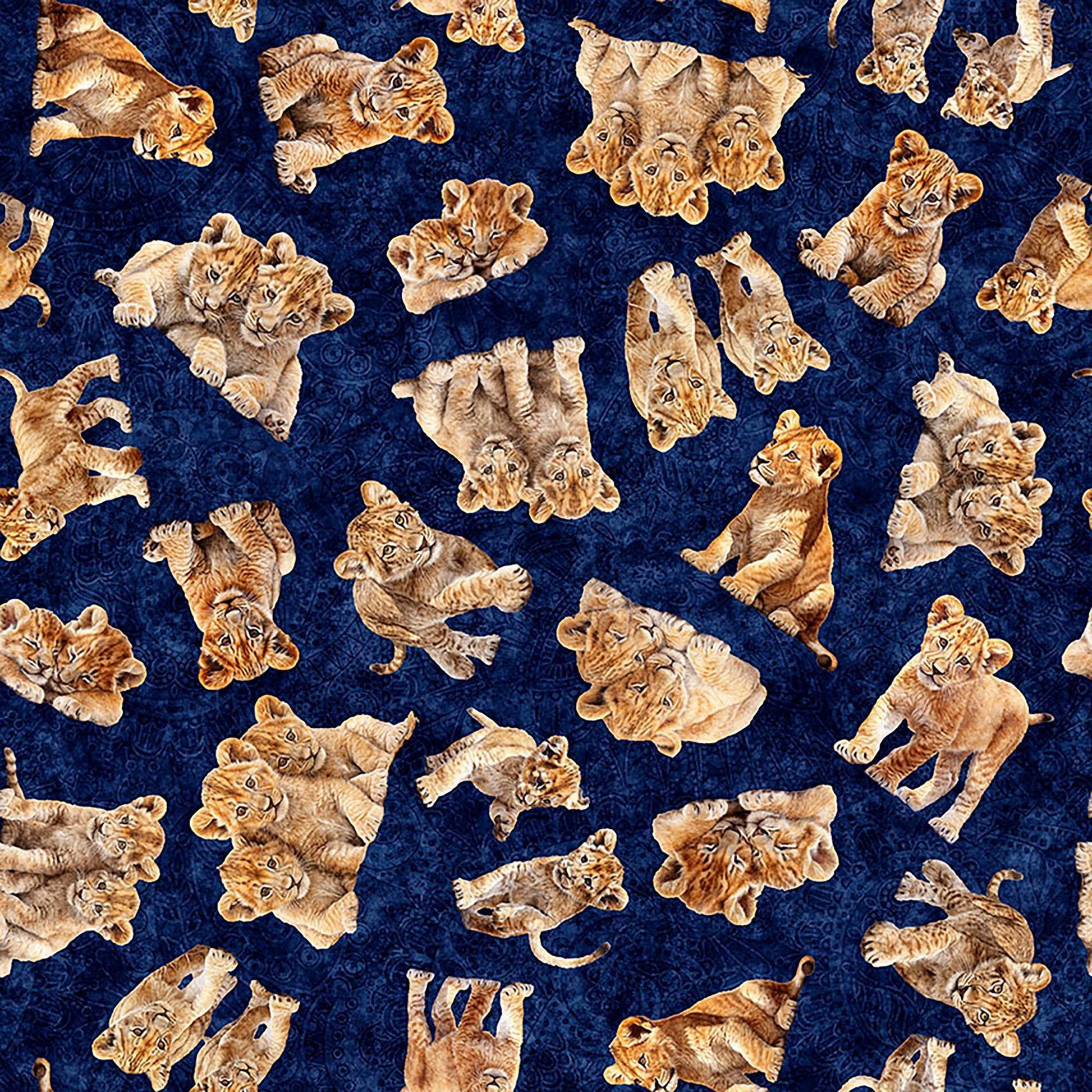 Image of Roar of the Pride Cubs Toss Navy quilting cotton fabric by Morris Creative Group for QT Fabrics. Features cubs on a blue background. Cute Little Fabric Shop