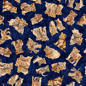 Image of Roar of the Pride Cubs Toss Navy quilting cotton fabric by Morris Creative Group for QT Fabrics. Features cubs on a blue background. Cute Little Fabric Shop