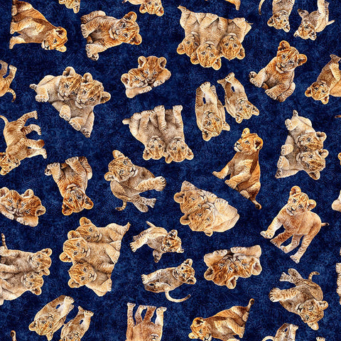 Image of Roar of the Pride Cubs Toss Navy quilting cotton fabric by Morris Creative Group for QT Fabrics. Features cubs on a blue background. Cute Little Fabric Shop
