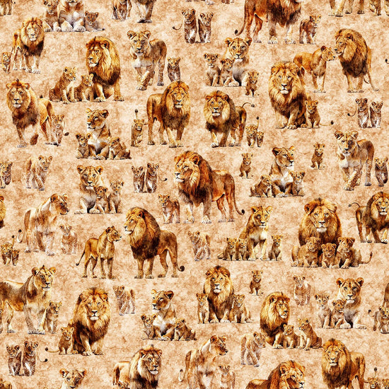 Image of Roar of the Pride Family Allover Tan quilting cotton fabric by Morris Creative Group for QT Fabrics. Features lions on a tan background. Cute Little Fabric Shop