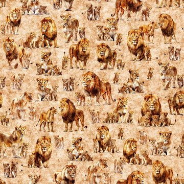 Image of Roar of the Pride Family Allover Tan quilting cotton fabric by Morris Creative Group for QT Fabrics. Features lions on a tan background. Cute Little Fabric Shop