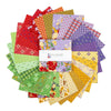 SALE Vera's Garden 5" Stacker Bundle - Riley Blake Designs - 42-Piece Precut  - Geometric Nature - Quilting Cotton Fabric