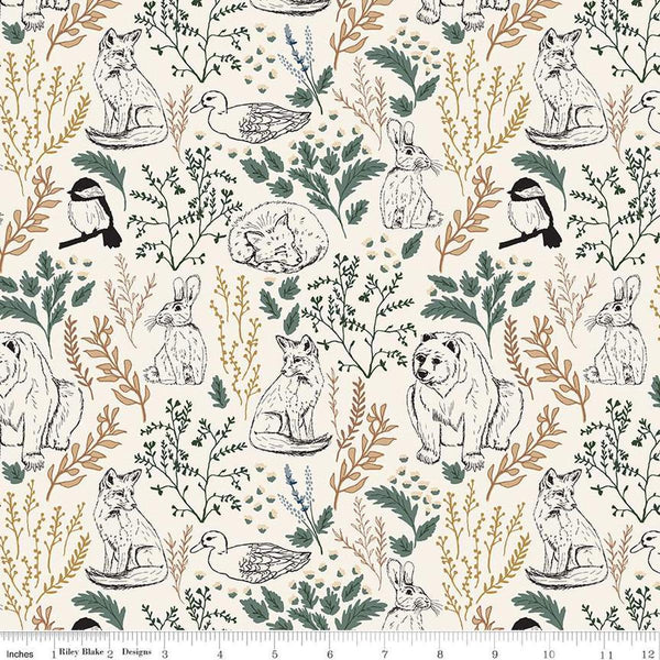 Image of Let&#39;s Wander Main Cream quilting cotton fabric by Casey Cometti for Riley Blake Designs. Features plants on a cream background. Cute Little Fabric Shop