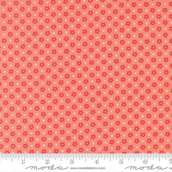 Image of Delightfully Yours Blooms Carnation quilting cotton fabric by Sherri & Chelsi for Moda Fabrics. Features flowers on a red background. Cute Little Fabric Shop