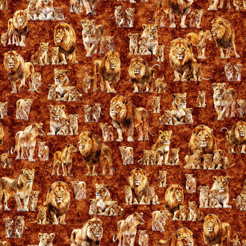 Image of Roar of the Pride Family Allover Rust quilting cotton fabric by Morris Creative Group for QT Fabrics. Features lions on a red background. Cute Little Fabric Shop