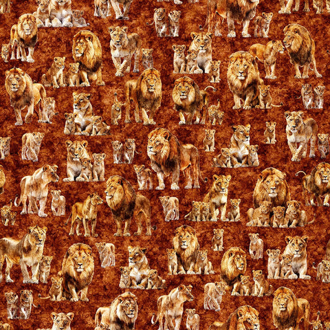 Image of Roar of the Pride Family Allover Rust quilting cotton fabric by Morris Creative Group for QT Fabrics. Features lions on a red background. Cute Little Fabric Shop