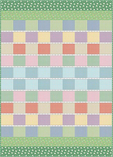 Gingham Picnic Quilt PATTERN P205 by American Jane Patterns - Riley Blake Designs - INSTRUCTIONS Only - Rows Blocks