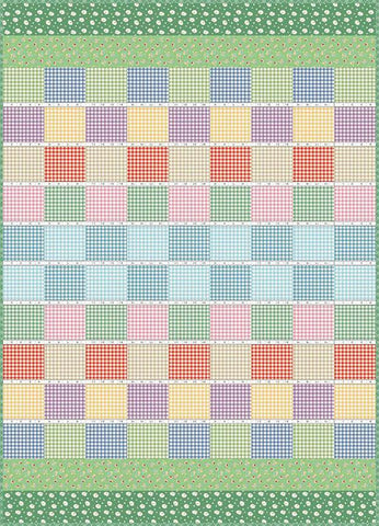 Gingham Picnic Quilt PATTERN P205 by American Jane Patterns - Riley Blake Designs - INSTRUCTIONS Only - Rows Blocks