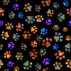 Image of Feline Fantasia Paw Prints Black quilting cotton fabric by Morris Creative Group for QT Fabrics. Features paw prints on a black background. Cute Little Fabric Shop