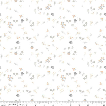 Image of Hush Hush 5 Foraging quilting cotton fabric by Assorted Designers for Riley Blake Designs. Features nuts on an off-white background. Cute Little Fabric Shop.