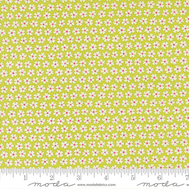 Image of Pick Me Pocket of Posies Small Lime quilting cotton fabric by Me and My Sister Designs for Moda Fabrics. Features flowers on a green background. Cute Little Fabric Shop