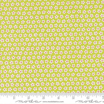 Image of Pick Me Pocket of Posies Small Lime quilting cotton fabric by Me and My Sister Designs for Moda Fabrics. Features flowers on a green background. Cute Little Fabric Shop