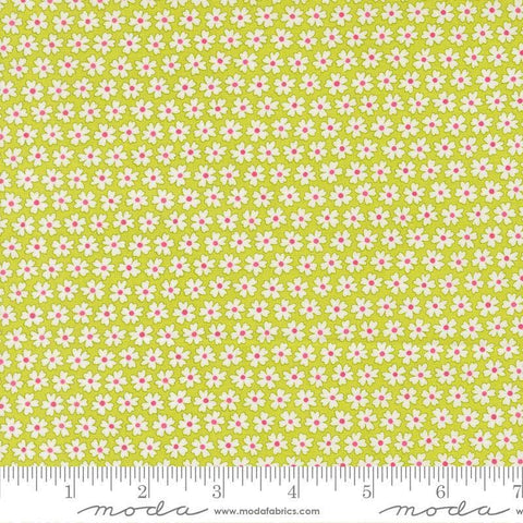 Image of Pick Me Pocket of Posies Small Lime quilting cotton fabric by Me and My Sister Designs for Moda Fabrics. Features flowers on a green background. Cute Little Fabric Shop