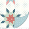SALE Double Lush Velvet Mary Catherine LV16806 - Riley Blake Designs - Double Sided Plush - No Fray Edge - Polyester