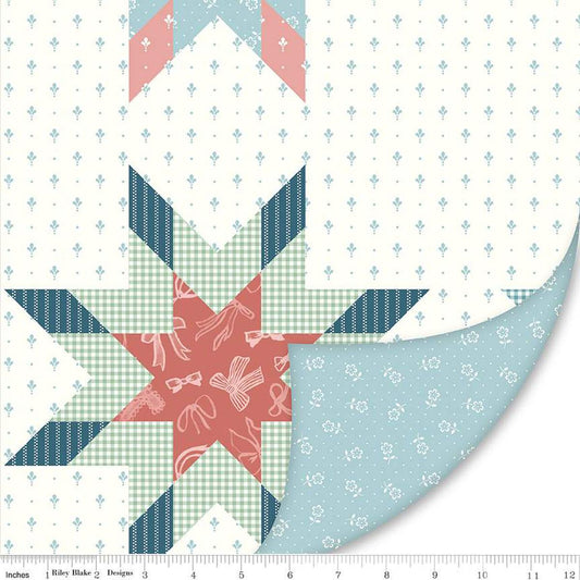 SALE Double Lush Velvet Mary Catherine LV16806 - Riley Blake Designs - Double Sided Plush - No Fray Edge - Polyester