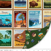 SALE Double Lush Velvet National Parks LV16802 - Riley Blake Designs - Double Sided Plush - No Fray Edge - Polyester