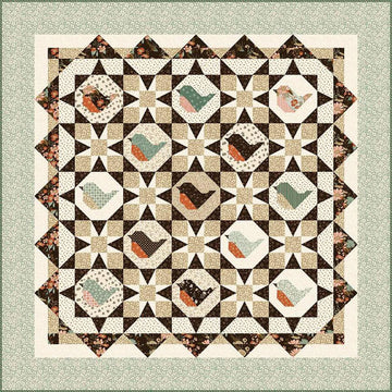 SALE Morning Song Quilt PATTERN P157 - Sandy Gervais - Riley Blake Designs - INSTRUCTIONS Only - Stars Birds Alternating