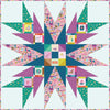 SALE Notorious Quilt Pattern P256 - Latifah Saafir Studios - Riley Blake Designs- INSTRUCTIONS Only - Square Quilt