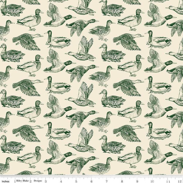 Image of Plaid-Venture Club Ducks Cream quilting cotton fabric by by the RBD Designers for Riley Blake Designs. Features birds on a cream background. Cute Little Fabric Shop