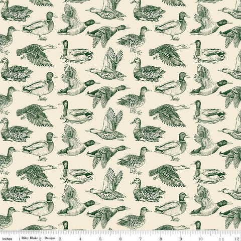 Image of Plaid-Venture Club Ducks Cream quilting cotton fabric by by the RBD Designers for Riley Blake Designs. Features birds on a cream background. Cute Little Fabric Shop