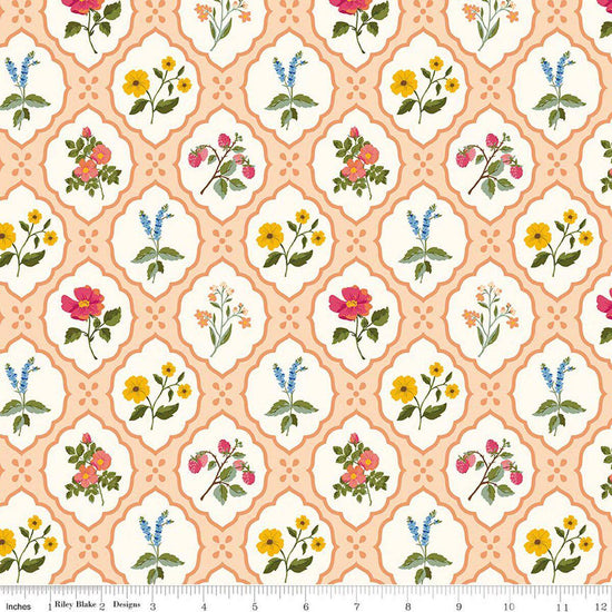 Image of Virginia Rose Wallflower Shell quilting cotton by Katherine Lenius for Riley Blake Designs. Features flowers on a peach background. Cute Little Fabric Shop