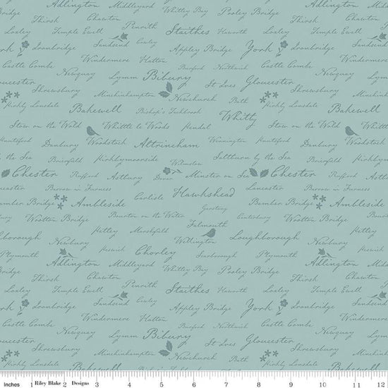 Image of Ambleside Town Names Blue quilting cotton fabric by Amanda Niederhauser for Riley Blake Designs. Features text on a blue background. Cute Little Fabric Shop