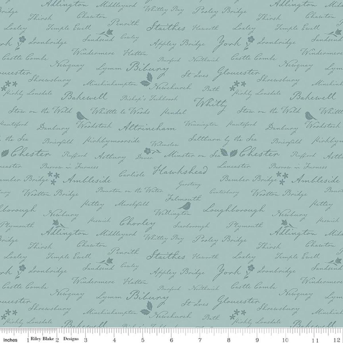 Image of Ambleside Town Names Blue quilting cotton fabric by Amanda Niederhauser for Riley Blake Designs. Features text on a blue background. Cute Little Fabric Shop