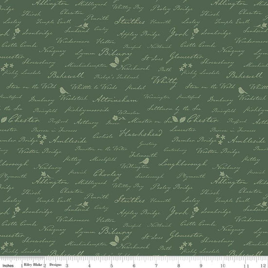 Image of Ambleside Town Names Forest quilting cotton fabric by Amanda Niederhauser for Riley Blake Designs. Features test on a green background. Cute Little Fabric Shop