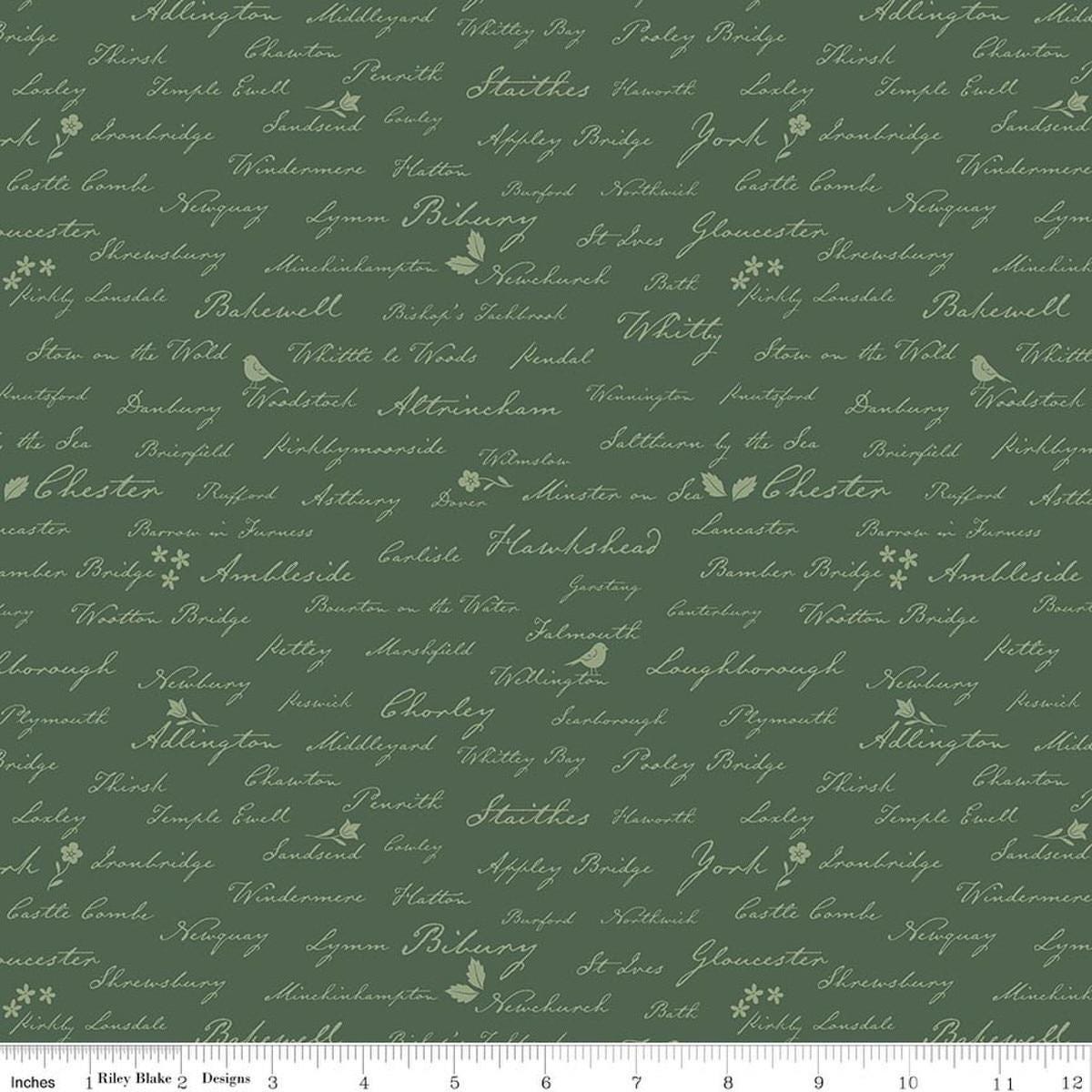 Image of Ambleside Town Names Forest quilting cotton fabric by Amanda Niederhauser for Riley Blake Designs. Features test on a green background. Cute Little Fabric Shop