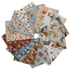 Sugar, Spice, Everything Nice Fat Quarter Bundle 13-Piece FATQU SGSC 3PKC - QT Fabrics  Precut - Quilting Cotton Fabric