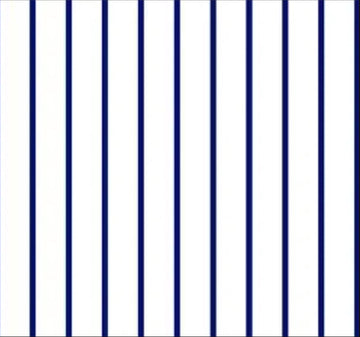 SALE Dots and Stripes and More Spaced Stripe 28897 ZN Navy White - QT Fabrics - Stripes Striped - Quilting Cotton Fabric