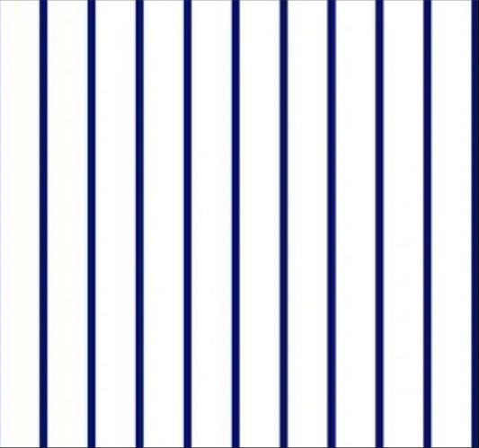 SALE Dots and Stripes and More Spaced Stripe 28897 ZN Navy White - QT Fabrics - Stripes Striped - Quilting Cotton Fabric