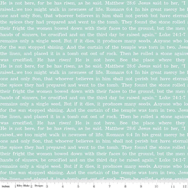 Image of Egg Hunt Empty Tomb Text Aqua quilting cotton fabric by J. Wecker Frisch for Riley Blake Designs. Features words on a blue background. Cute Little Fabric Shop.