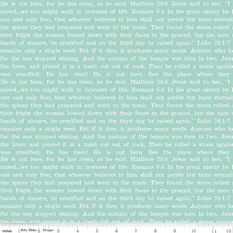 Image of Egg Hunt Empty Tomb Text Aqua quilting cotton fabric by J. Wecker Frisch for Riley Blake Designs. Features words on a blue background. Cute Little Fabric Shop.