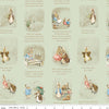 Image of Peter Rabbit and Benjamin Bunny Story Time Green licensed quilting cotton fabric by the RBD Designers for Riley Blake Designs. Features storybook pages on a green background. Cute Little Fabric Shop