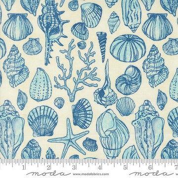 Fat Quarter End of Bolt Piece SALE Serena Shores Sketchy Shells 48774 Cloud Moda Fabrics Beach Seashells Illustrated Quilting Cotton Fabric