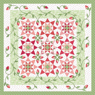 Village Green Quilt PATTERN P112 - Jillily Studio - Riley Blake Designs - INSTRUCTIONS Only - Pieced Star Blocks Applique Vines Roses