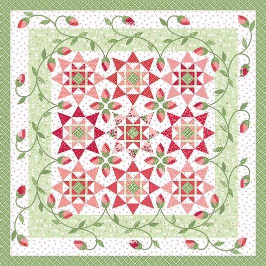 Village Green Quilt PATTERN P112 - Jillily Studio - Riley Blake Designs - INSTRUCTIONS Only - Pieced Star Blocks Applique Vines Roses
