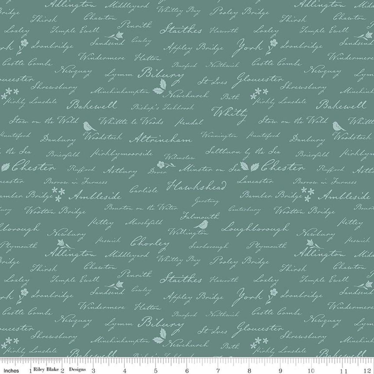 Image of Ambleside Town Names Teal quilting cotton fabric by Amanda Niederhauser for Riley Blake Designs. Features text on a blue background. Cute Little Fabric Shop