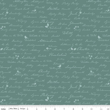 Image of Ambleside Town Names Teal quilting cotton fabric by Amanda Niederhauser for Riley Blake Designs. Features text on a blue background. Cute Little Fabric Shop