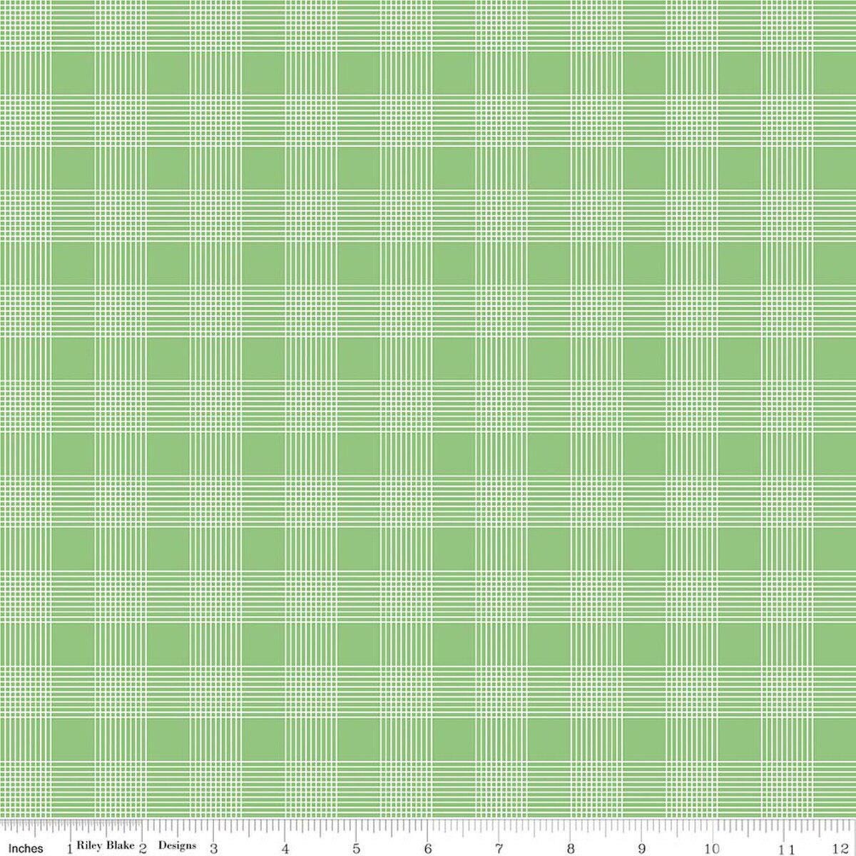 Image of Egg Hunt Plaid Green quilting cotton fabric by J. Wecker Frisch for Riley Blake Designs. Features plaid on a green background. Cute Little Fabric Shop.