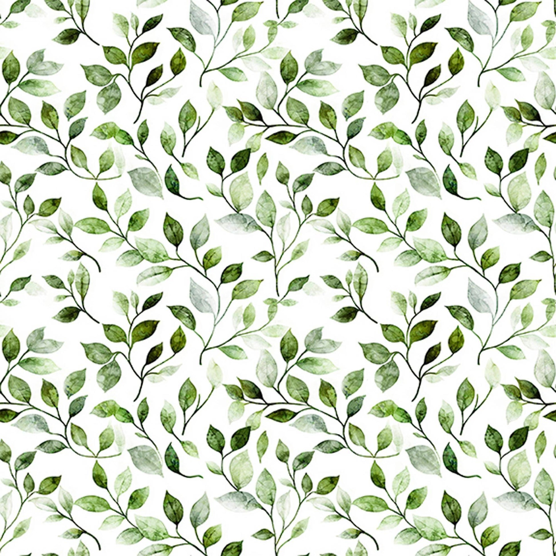 Image of Mountain Splendor Leaf Vine Evergreen quilting cotton fabric by Dan Morris for QT Fabrics. Features leaves on a white background. Cute Little Fabric Shop.